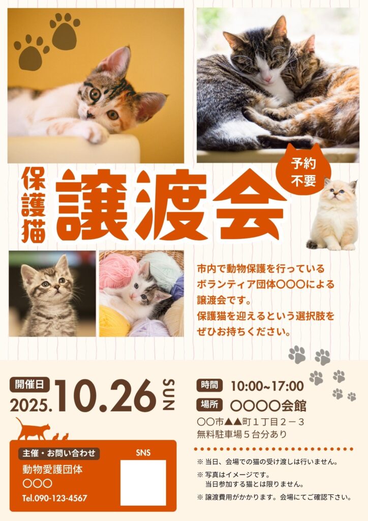 チラシ:保護猫譲渡会(自主制作)