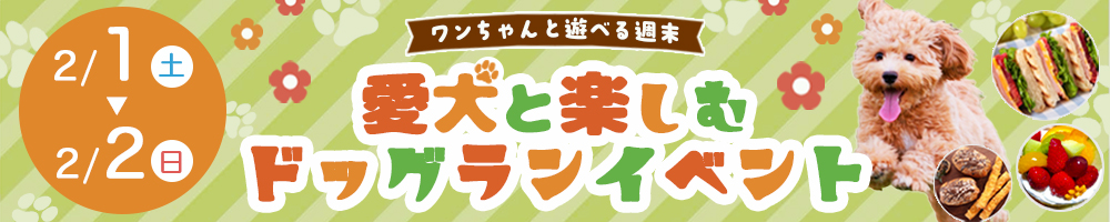 バナー:ドッグランイベント(スクール課題)